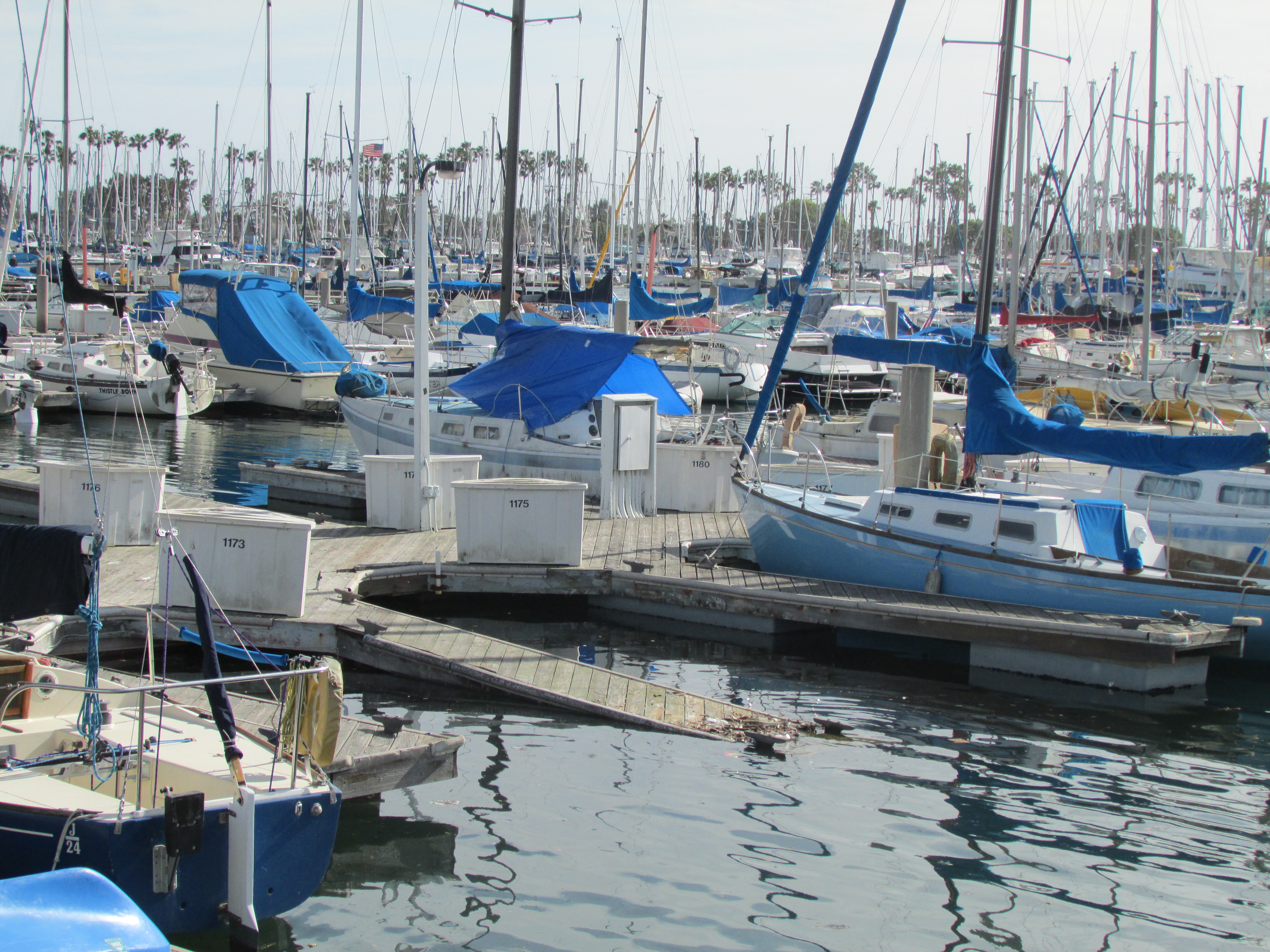 Alamitos Bay Rebuild to Stay On Track The Log