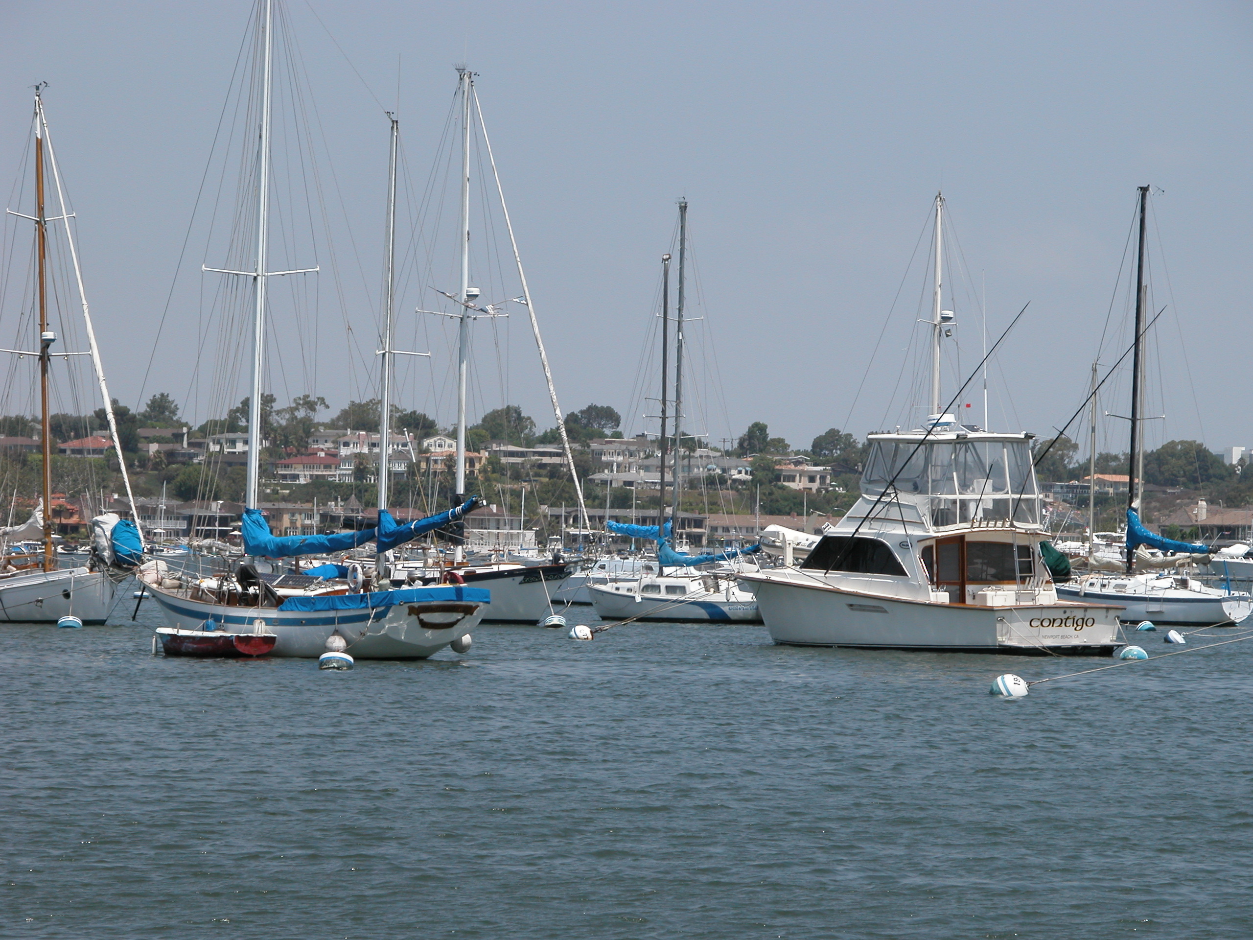Floating Docks May Replace Newport’s Moorings The Log