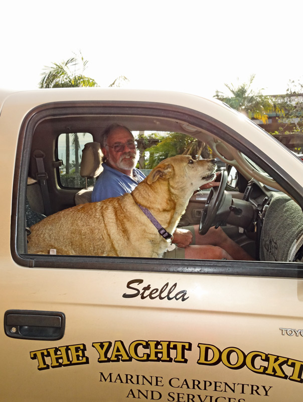 Stella, the jewel of Shelter Island: a not so shaggy dog story