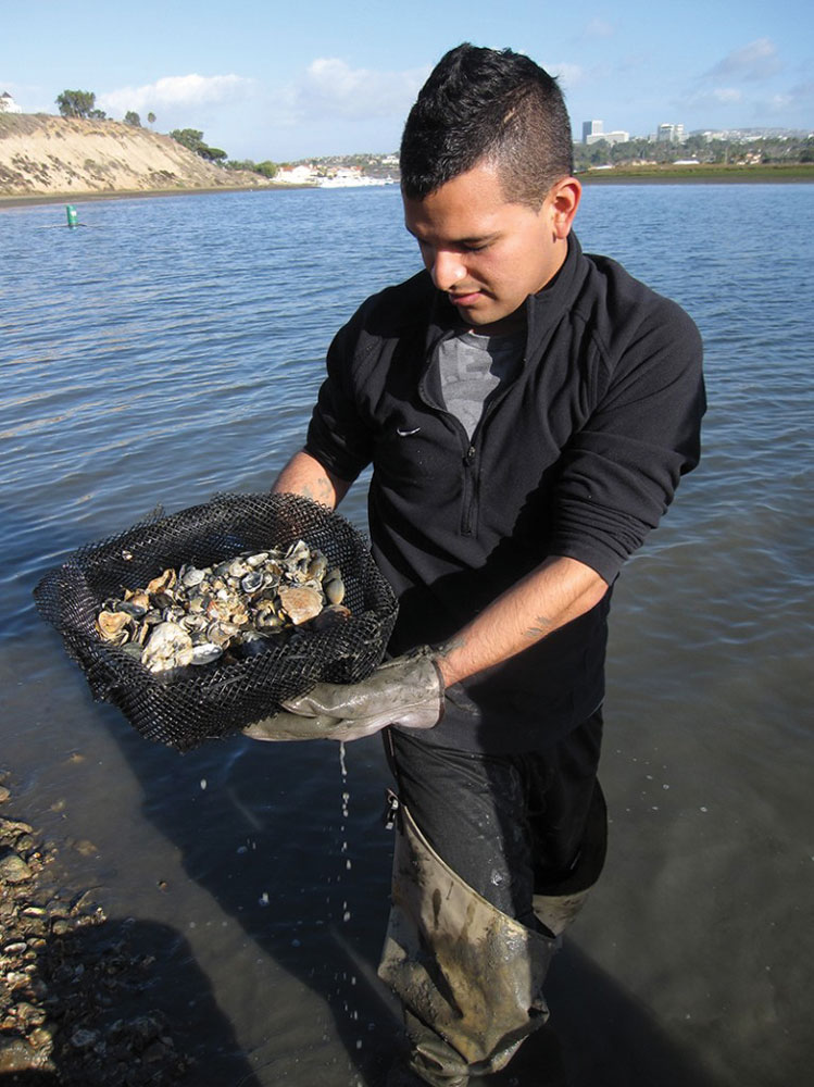 oyster reefs in Long Beach