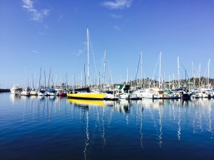According to the grand jury report, Santa Barbara liveaboards are appreciated by harbor officials since they serve as “the eyes and ears” of the harbor. Parimal M. Rohit photo