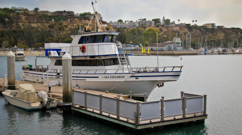 Dana Point bioluminescence night cruise aboard Ocean Institute Sea Explorer