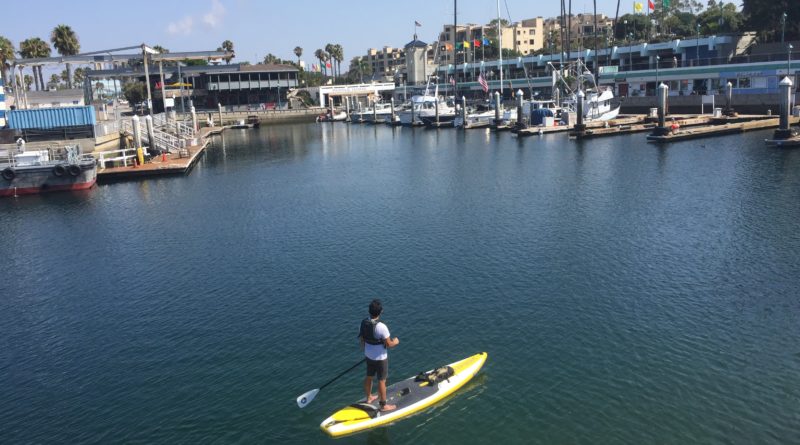Paddleboarding