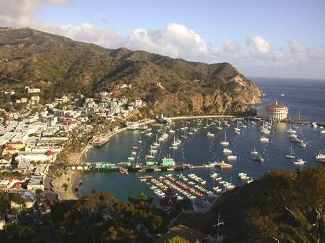 2 million fuel dock in store for Avalon The Log