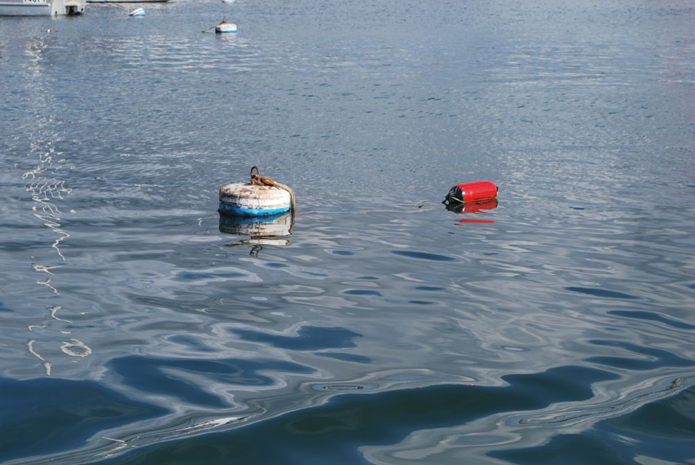 Newport Beach Harbor Commission reviewing moorings The Log